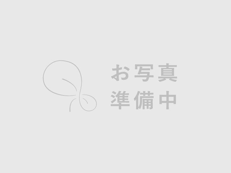 お写真準備中